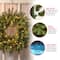 24" LED Norwood Fir Wreath